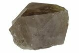 Rutilated Smoky Quartz Crystal - Brazil #173009-2